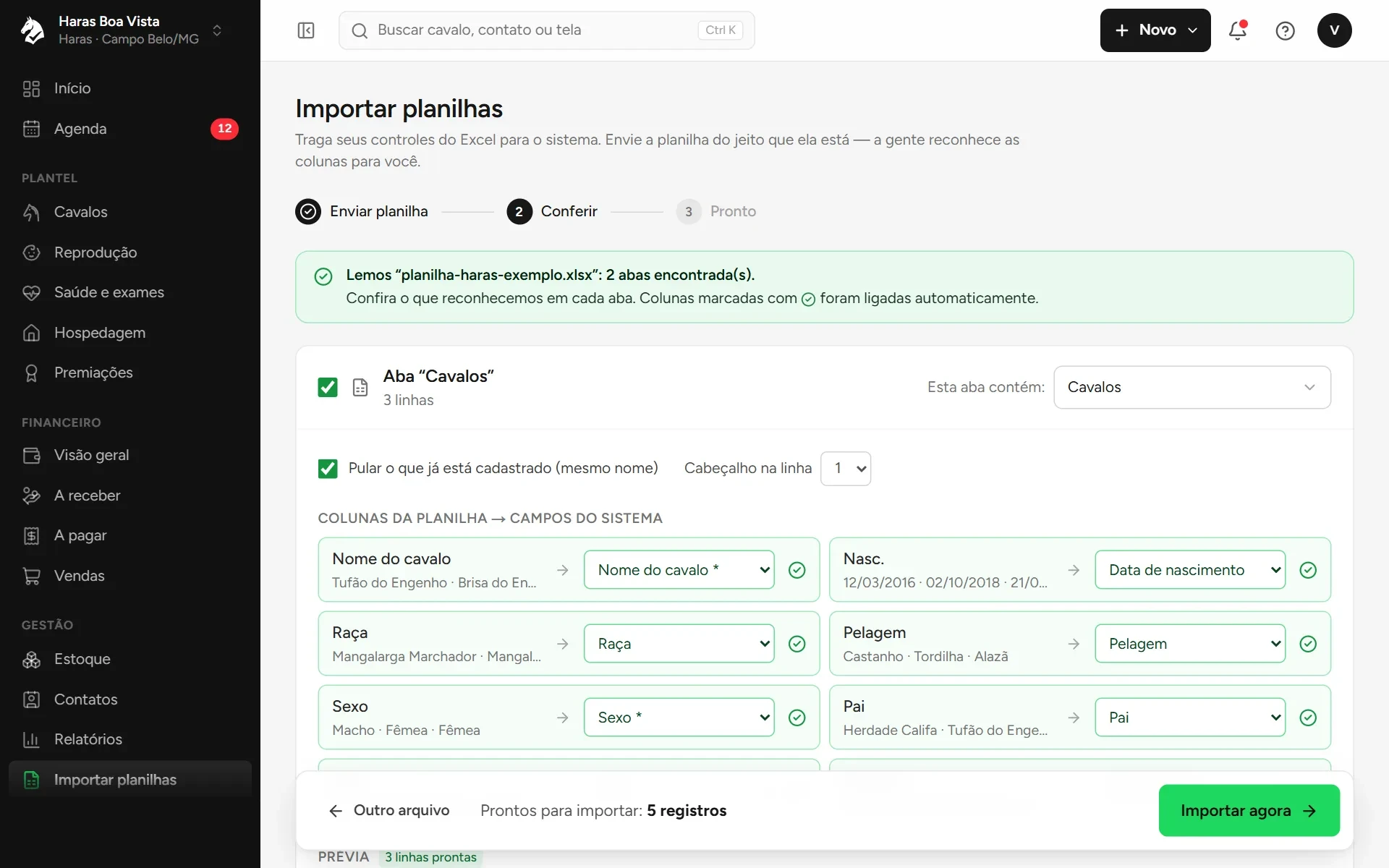 Assistente de importação reconhecendo as abas e colunas de uma planilha do Excel
